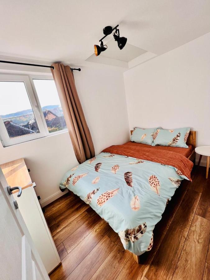 Master Adventure Guest House Vadu Crisului Eksteriør bilde